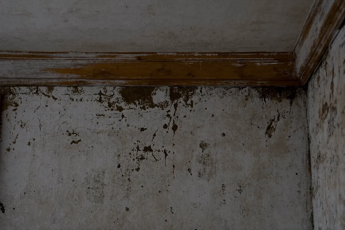 Mur intérieur humide à la peinture écaillée à Saint-Quentin